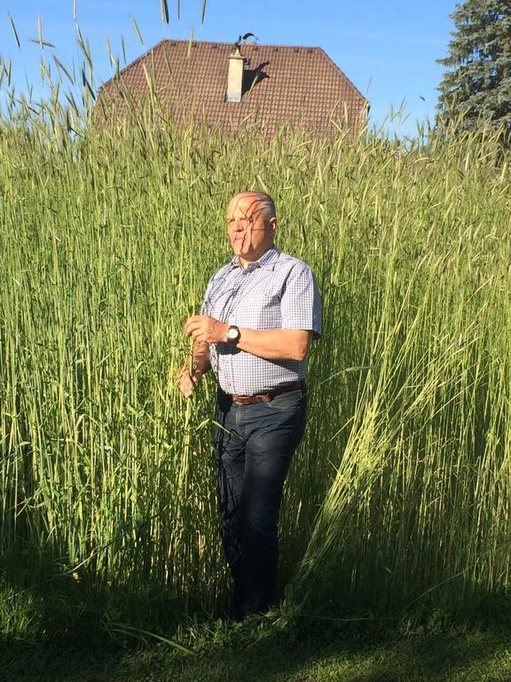 דירות סנט מרגרטהן אים לונגאו Biohof Sauschneider מראה חיצוני תמונה